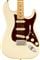 Fender American Pro II Stratocaster Maple Neck Olympic White with Case Body View